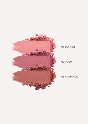 SHIKSTUDIO Silk Glow Blush Румяна для лица компактная